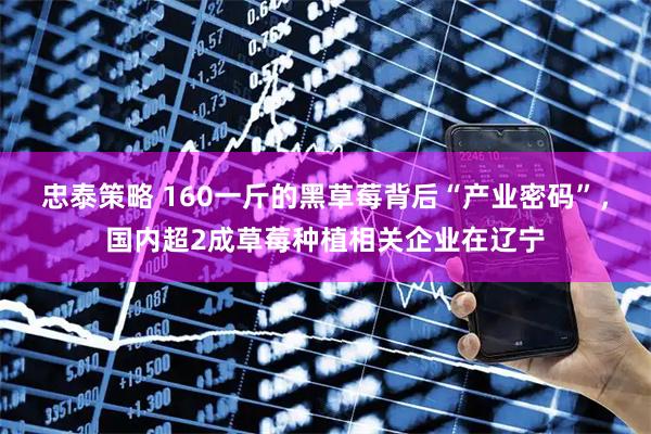 忠泰策略 160一斤的黑草莓背后“产业密码”，国内超2成草莓种植相关企业在辽宁