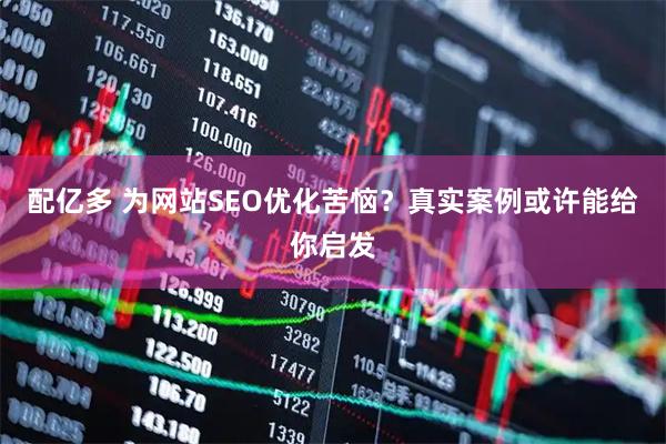 配亿多 为网站SEO优化苦恼？真实案例或许能给你启发