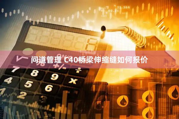 问道管理 C40桥梁伸缩缝如何报价
