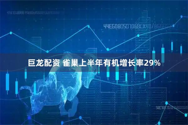 巨龙配资 雀巢上半年有机增长率29%